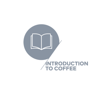 SCA Introduction to Coffee 咖啡通識