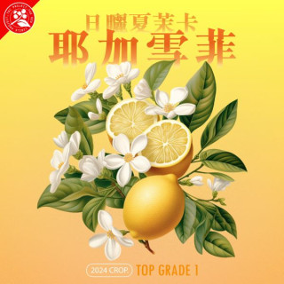 衣索比亞 夏茉卡 耶加雪菲 G1